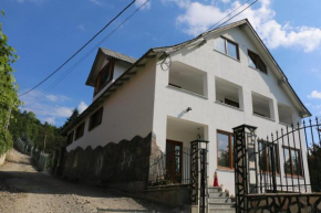 Colt de rai Borşa